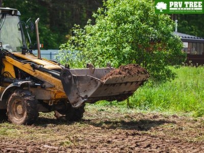 PRV Tree Service Highlights Efficient Land Clearing Solutions for Austin, TX Property Development