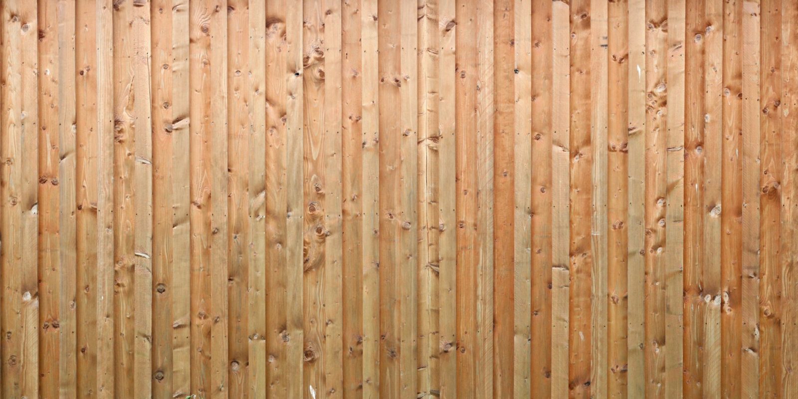 Philmar Fence Discusses How Texas Weather Impacts Wood Fence Longevity